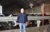 Przez Piątkę dla zwierząt rolnik na sprzedaży byków stracił ok. 10 tys. złotych